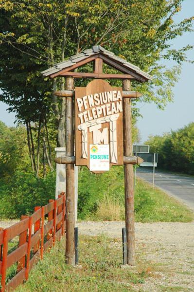 Pension Teleptean Ocna Şugatag Exteriér fotografie