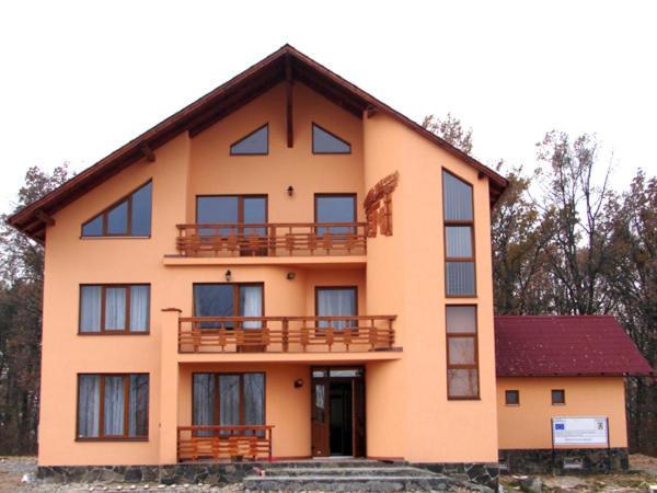 Pension Teleptean Ocna Şugatag Exteriér fotografie